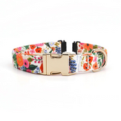 Fi Compatible Isabel Collar