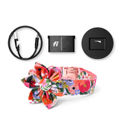 Fi Tracker + Isabel Collar + 6 Month Subscription