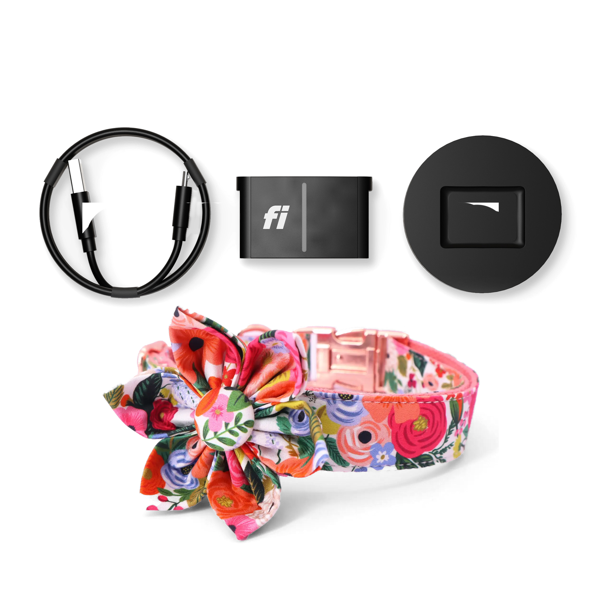 Fi Tracker + Isabel Collar + 6 Month Subscription