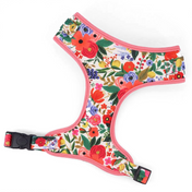 Isabel Harness Leash Set