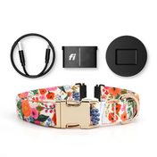 Fi Tracker + Isabel Collar + 6 Month Subscription