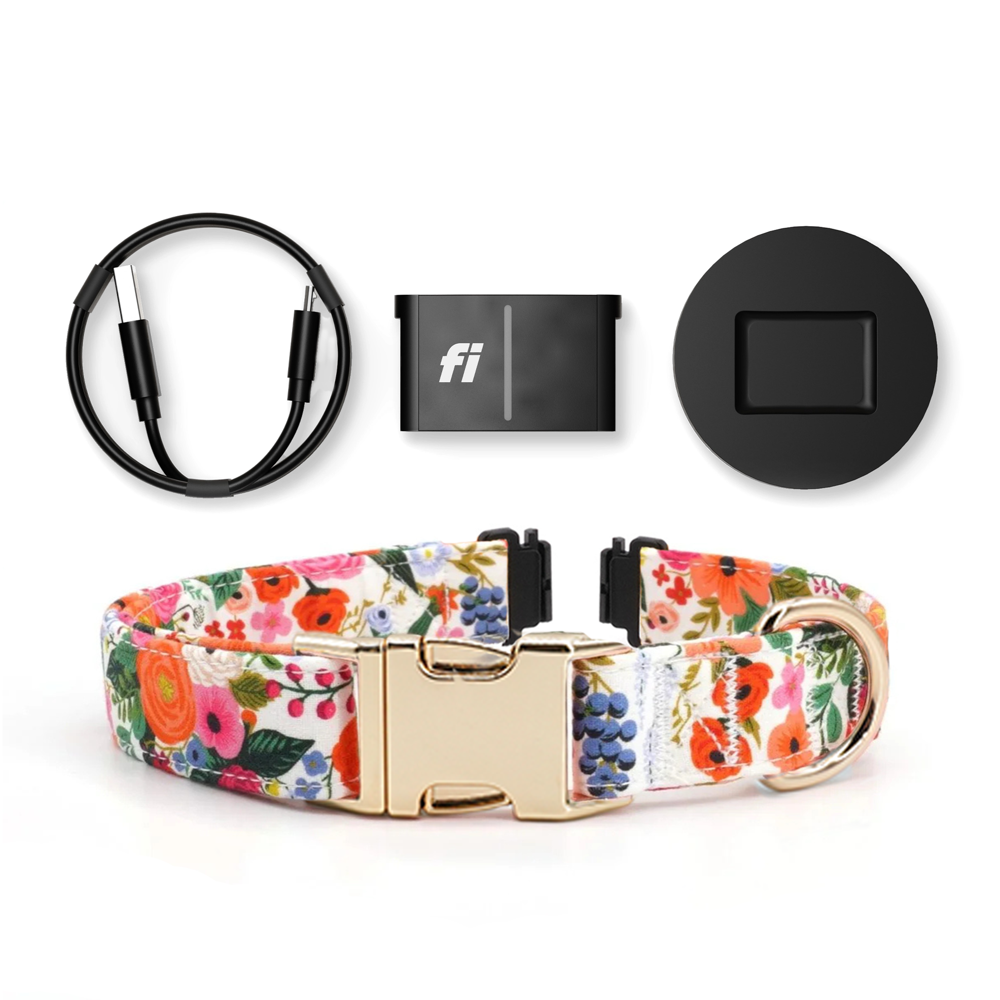 Fi Tracker + Isabel Collar + 6 Month Subscription