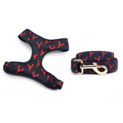 Lobster Love Harness Leash Set