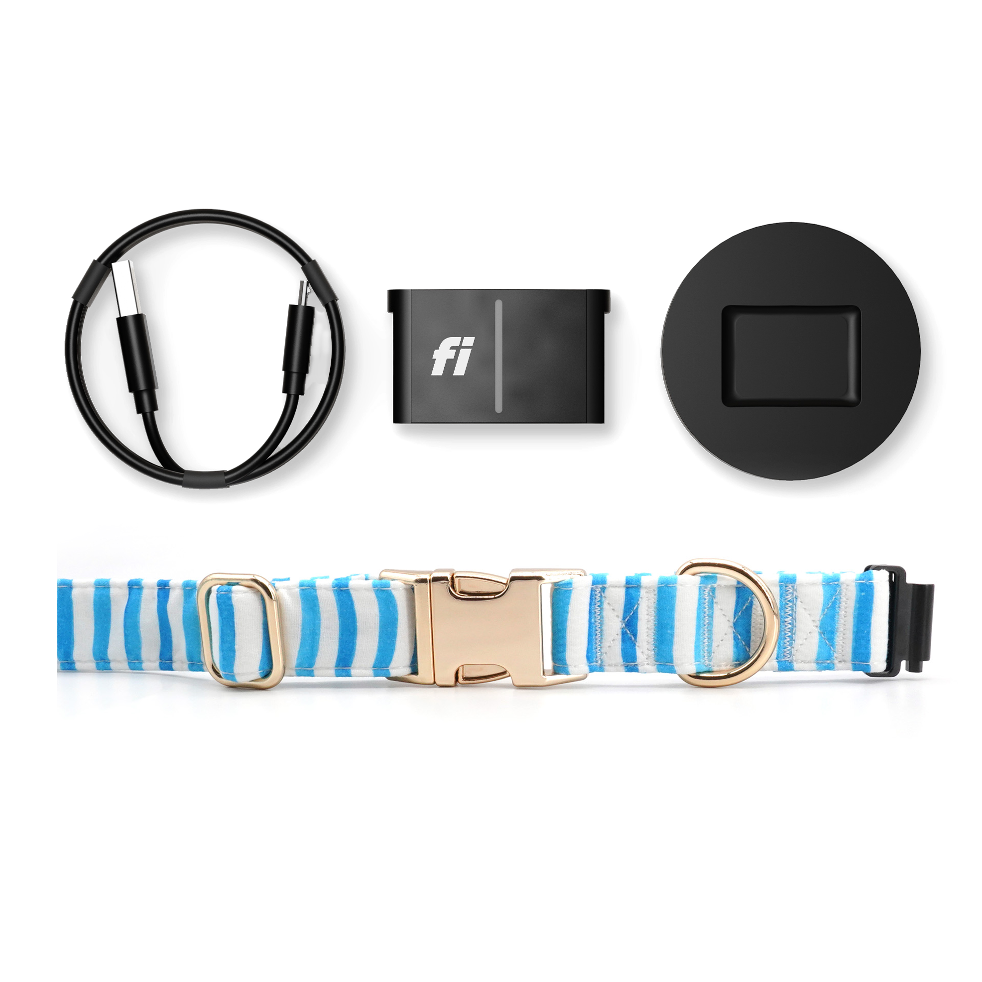 Fi Tracker + Nautical Blue Collar + 6 Month Subscription