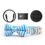 Fi Tracker + Nautical Blue Collar + 6 Month Subscription