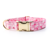 Off To Paris Collar Leash Set