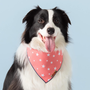 Red Star Bandana