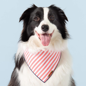 Red Stripe Bandana