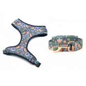 Go Wild Harness + Leash Set