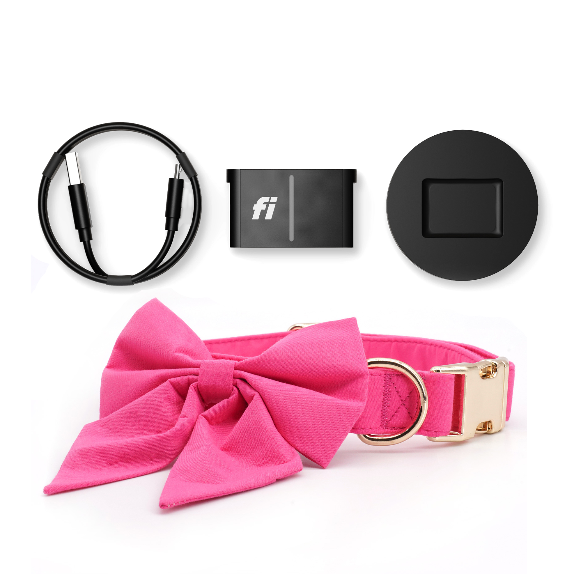 Fi Tracker + Signature Pink Collar + 6 Month Subscription