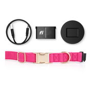 Fi Tracker + Signature Pink Collar + 6 Month Subscription
