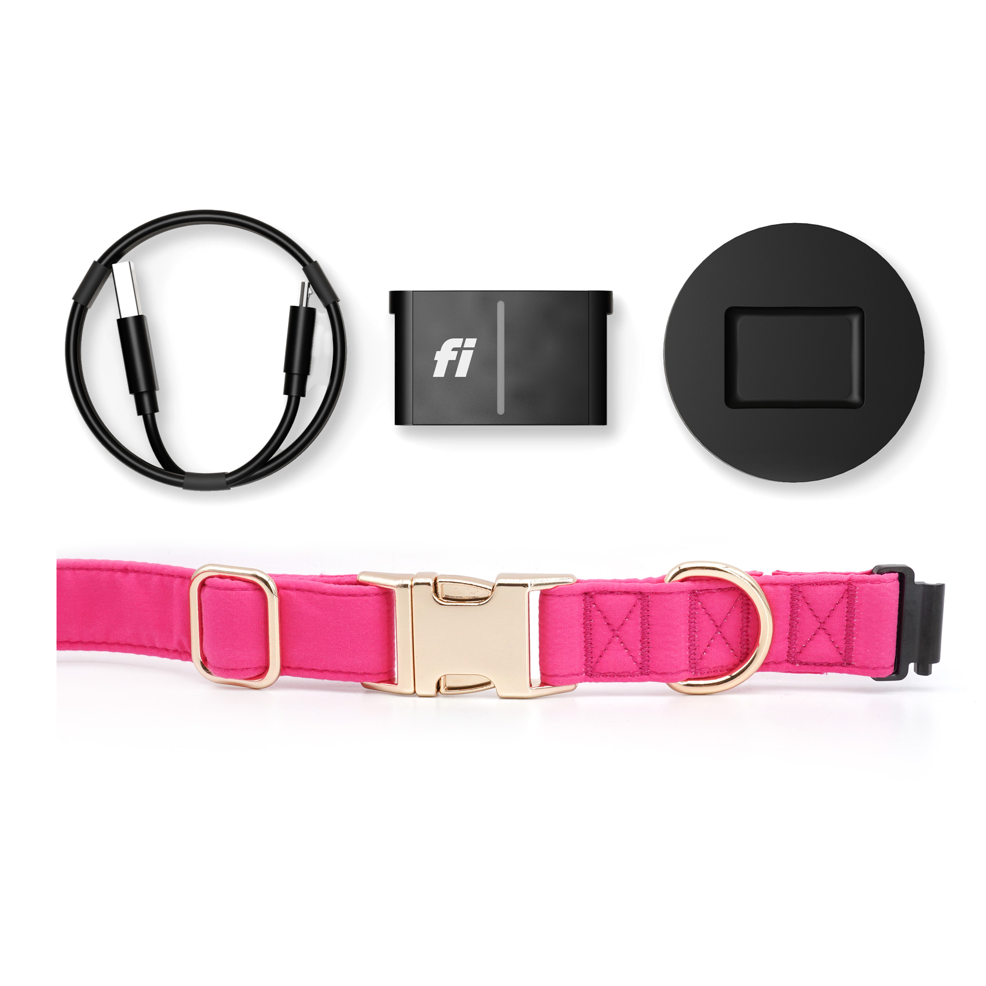 Fi Tracker + Signature Pink Collar + 6 Month Subscription