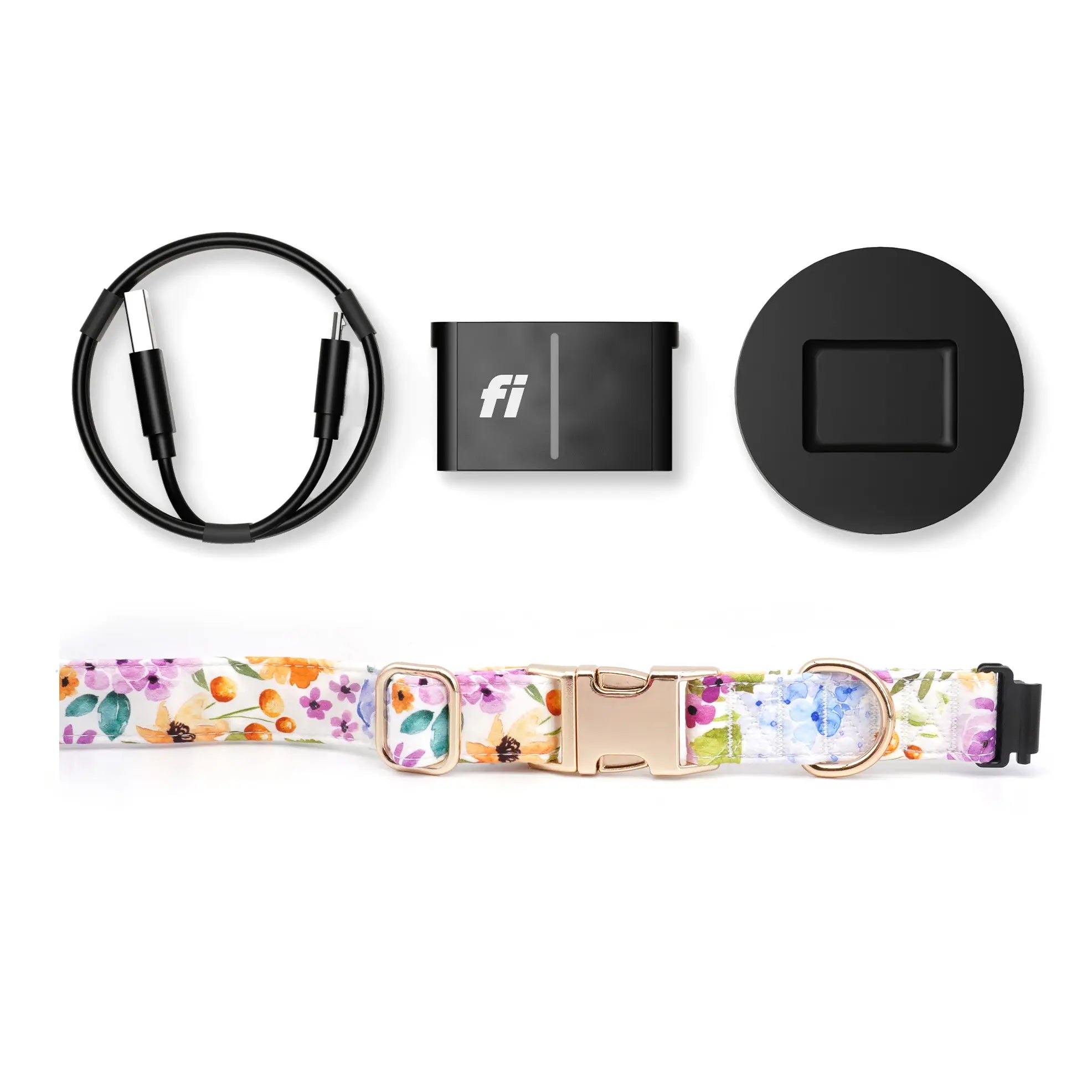 Fi Tracker + Spring Blooms Collar + 6 Month Subscription