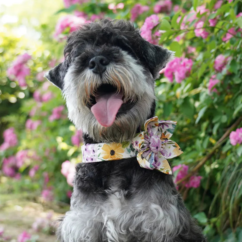 Spring Blooms Collar Leash Set