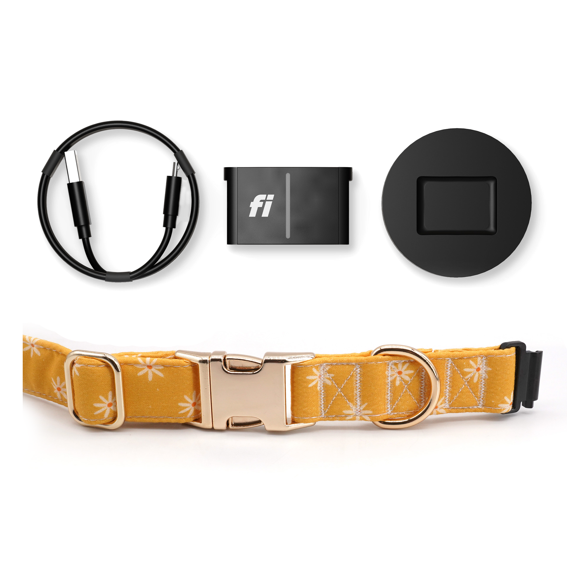 Fi Tracker + Sunny Days Collar + 6 Month Subscription