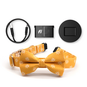 Fi Tracker + Sunny Days Collar + 6 Month Subscription