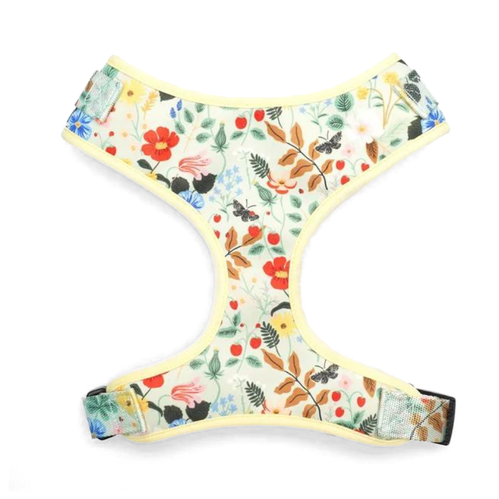 Wildflowers Harness